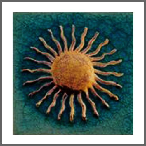 1 Fliese - Wand-Design - Design Fliesen - Seegrün Gold Sonne - Design Tiles