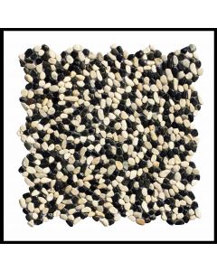1 qm - K-558 - Micro Pebble Black Ivory - Kieselstein - Mosaik - Fliesen - Naturstein-Bodenbelag