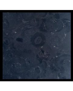 Naturstein Fliesen Black Limestone geschliffen - 1 qm