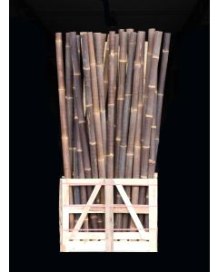 2,4 m - Bambus - B-001 - Wulung - Bambusrohr - Bambusstangen - Bambus Import Deutschland