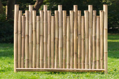 Bambus Sichtschutz Rohre